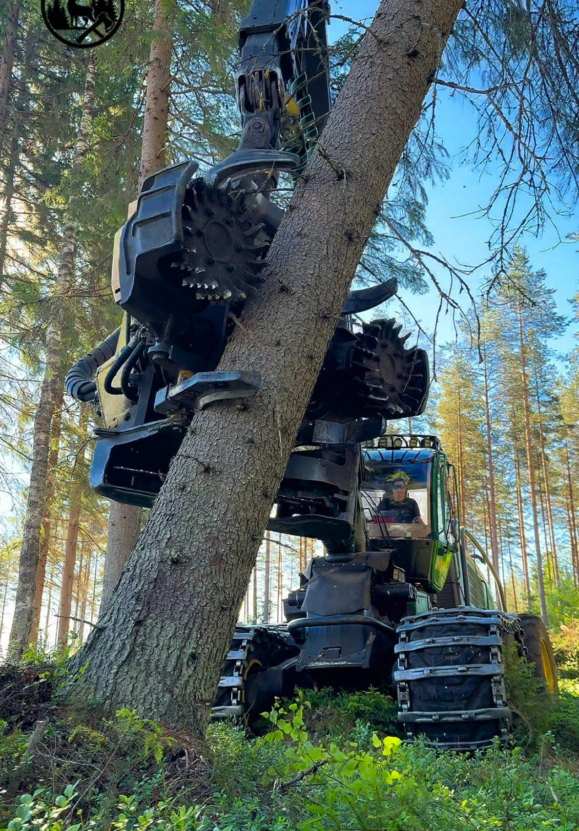 @Metsätalous