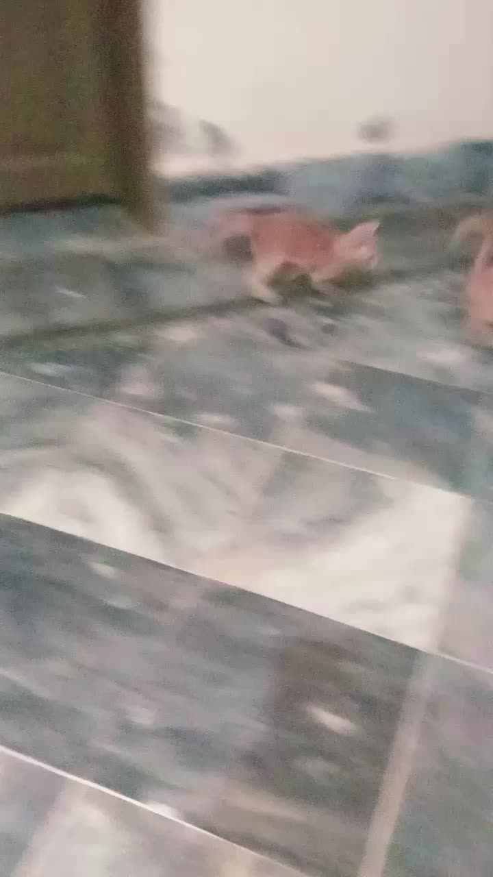 @cutecatlover8172