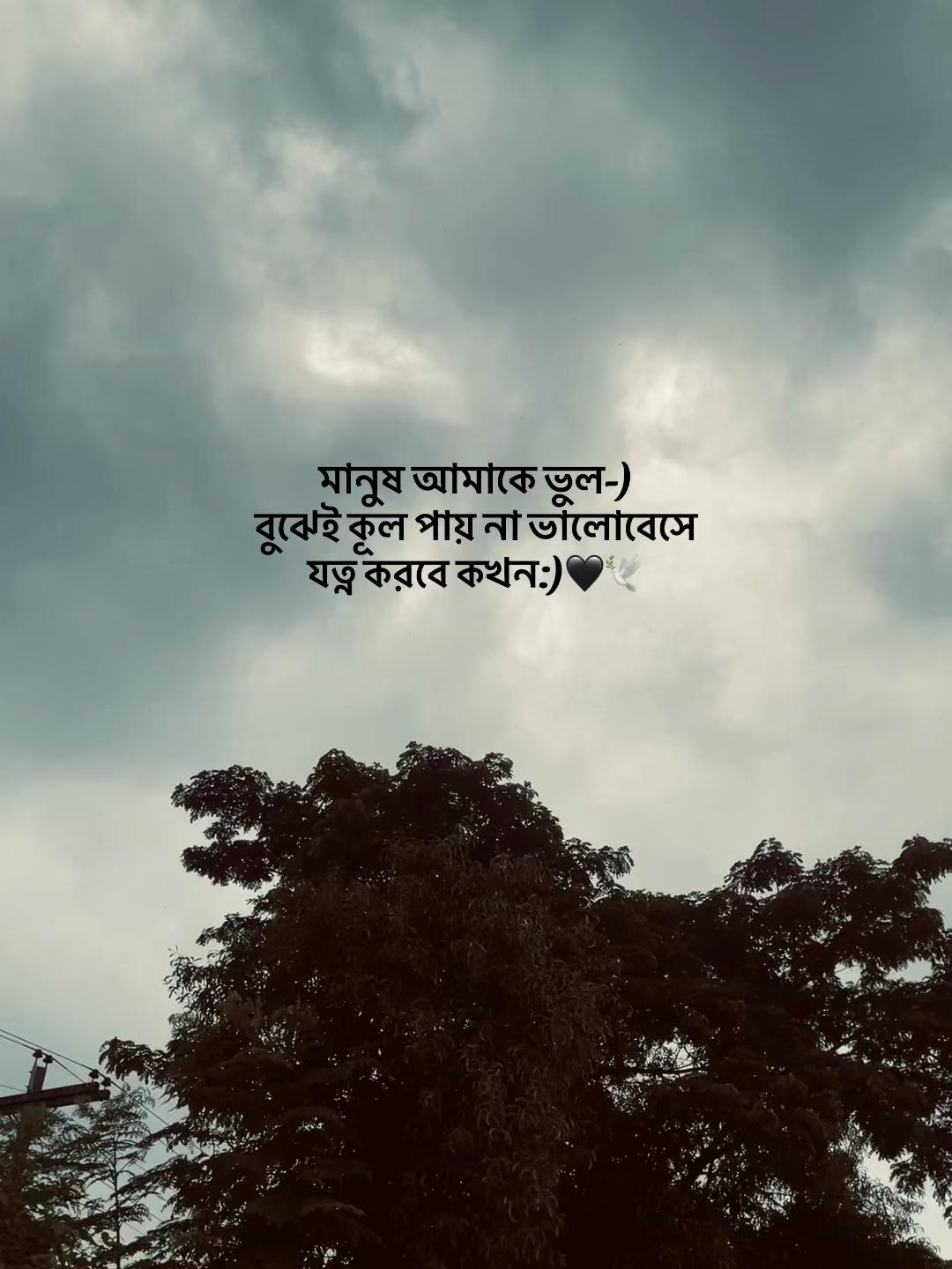 @✪ヅʜɴ᭄ ʜᴀꜰɪᴢᴜʟ..!! 🥀🔥