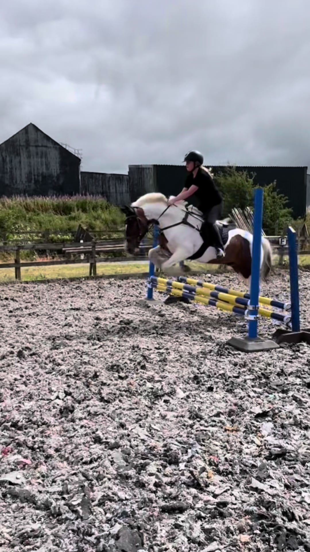 @Lilywiththecobs🐴