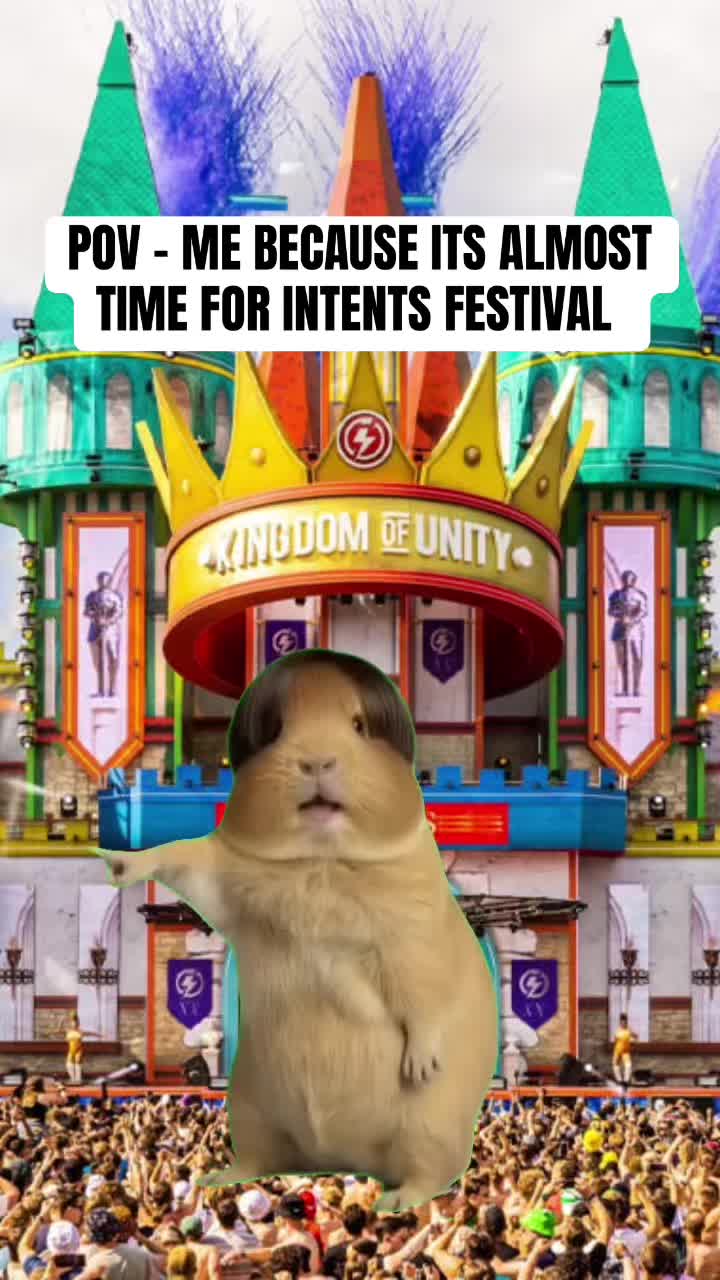 @RaveTours