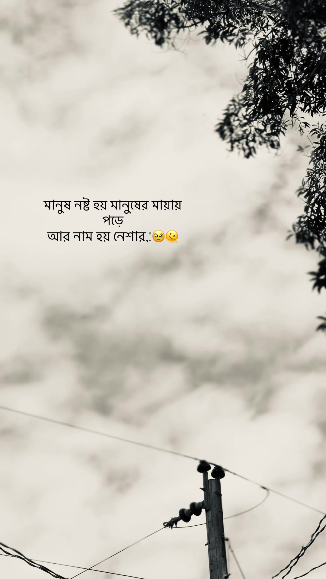 @đŗī¸A Z I M đĢ