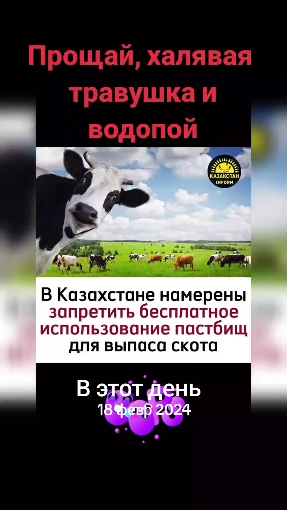 @Кемел