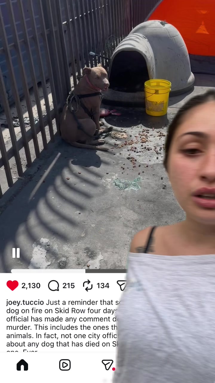@JEWELIET