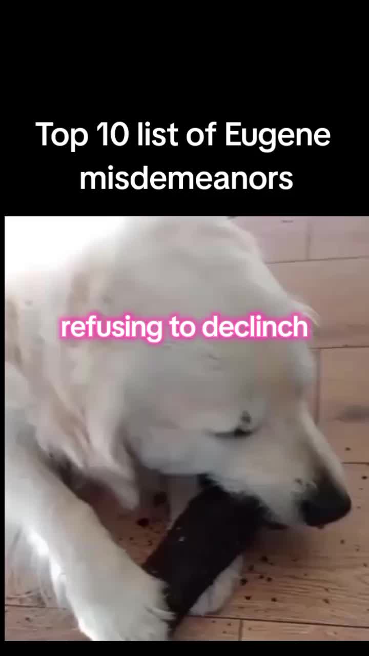 @barneypleasesatirenow