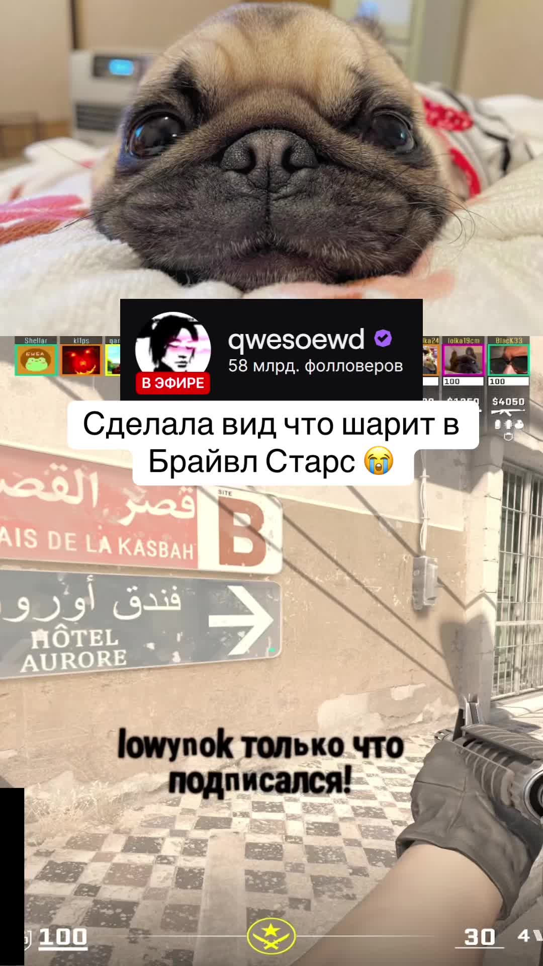 @qwesoewd_official