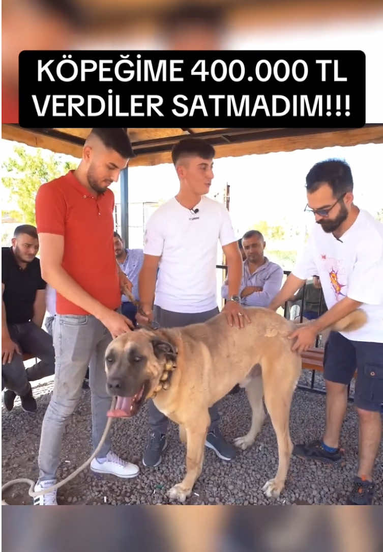 @ANADOLU ASLANLARI🐶🇹🇷