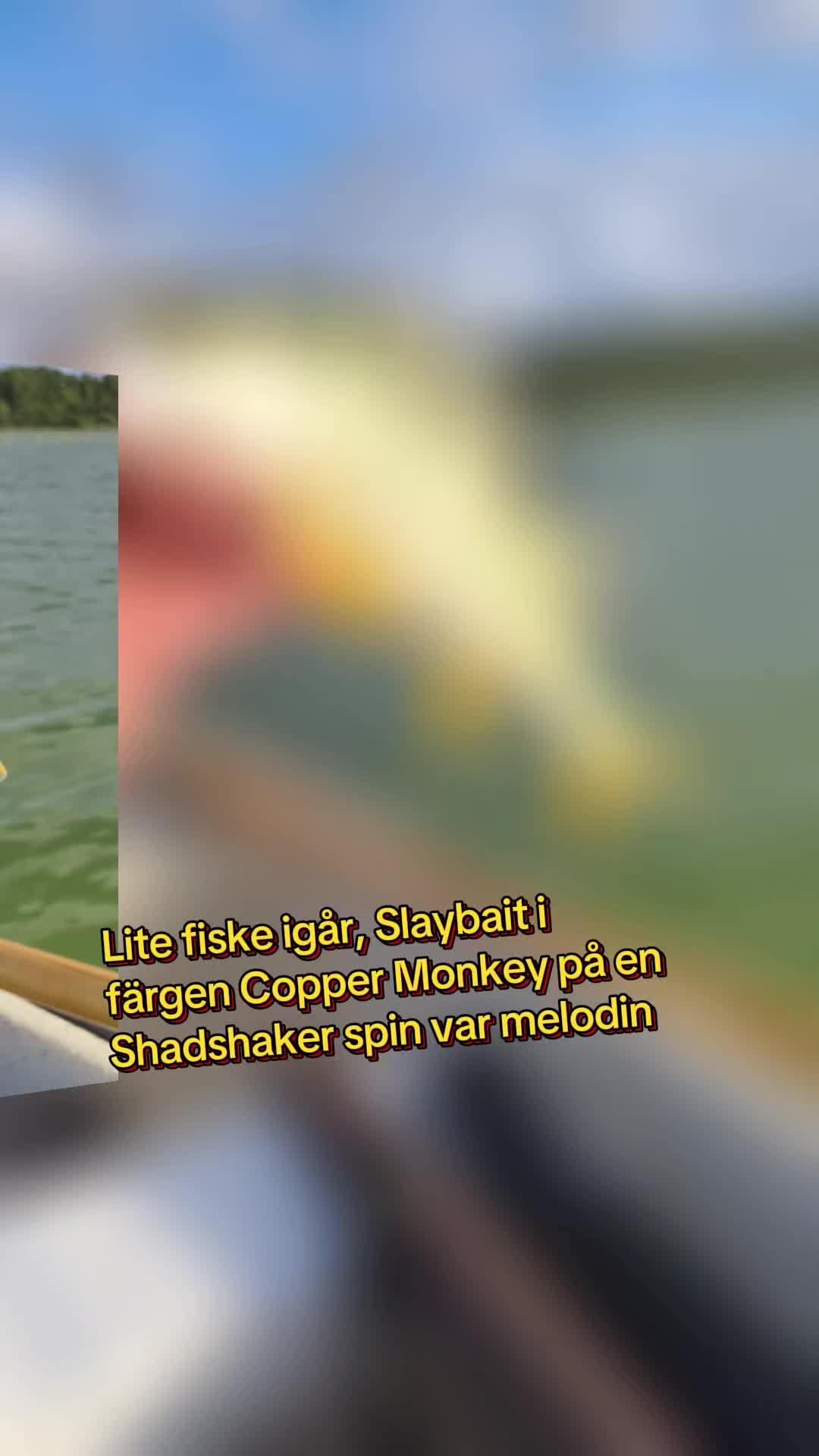 @Limestone Softbaits