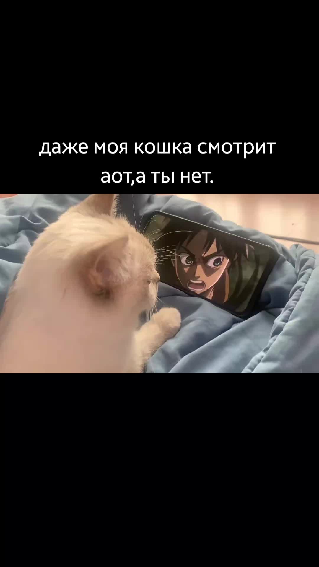 @𝕻𝖎𝖐𝖔𒉭