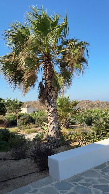 @LIUDMILA 🇬🇷