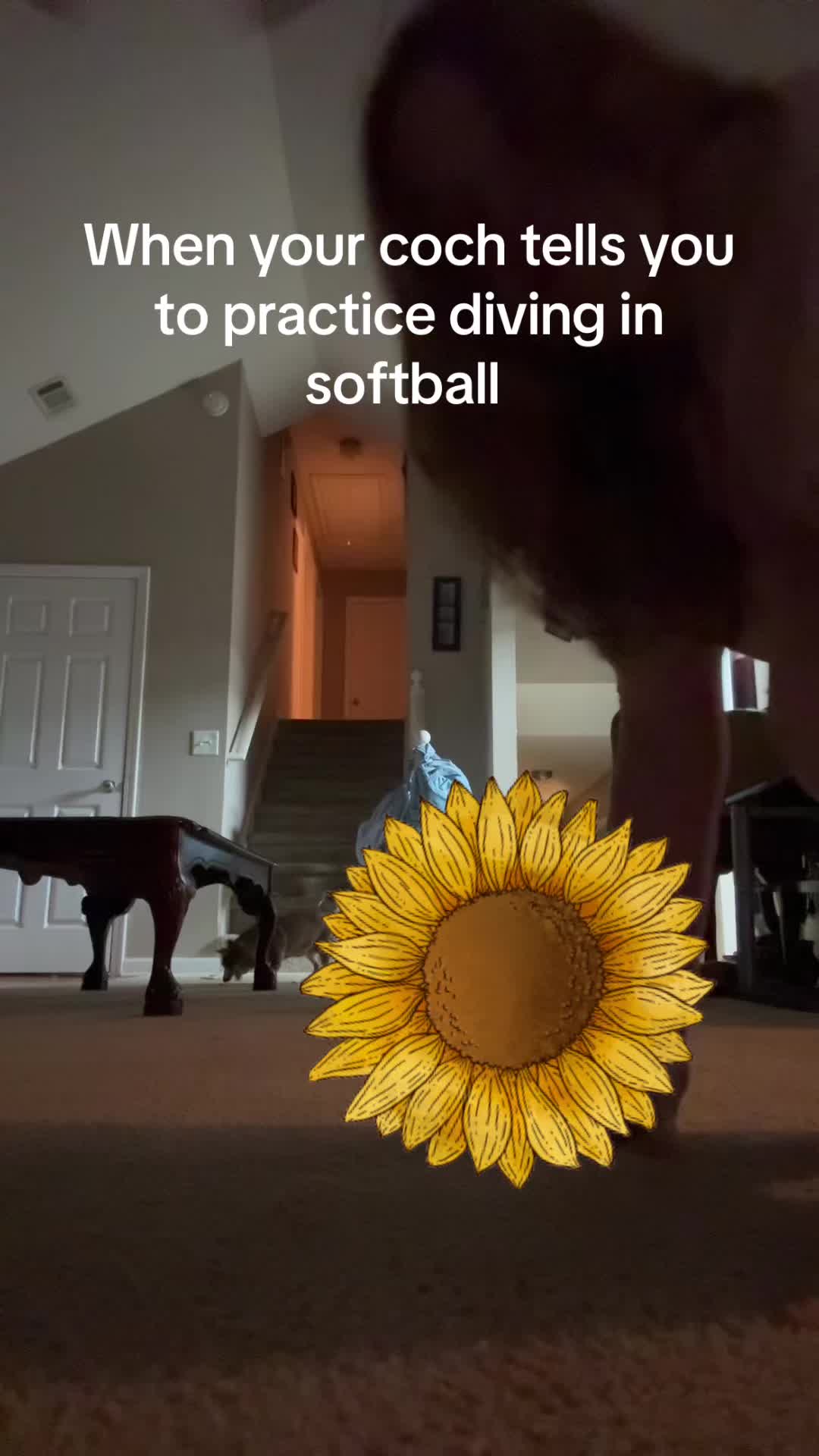 @Lyla🌺