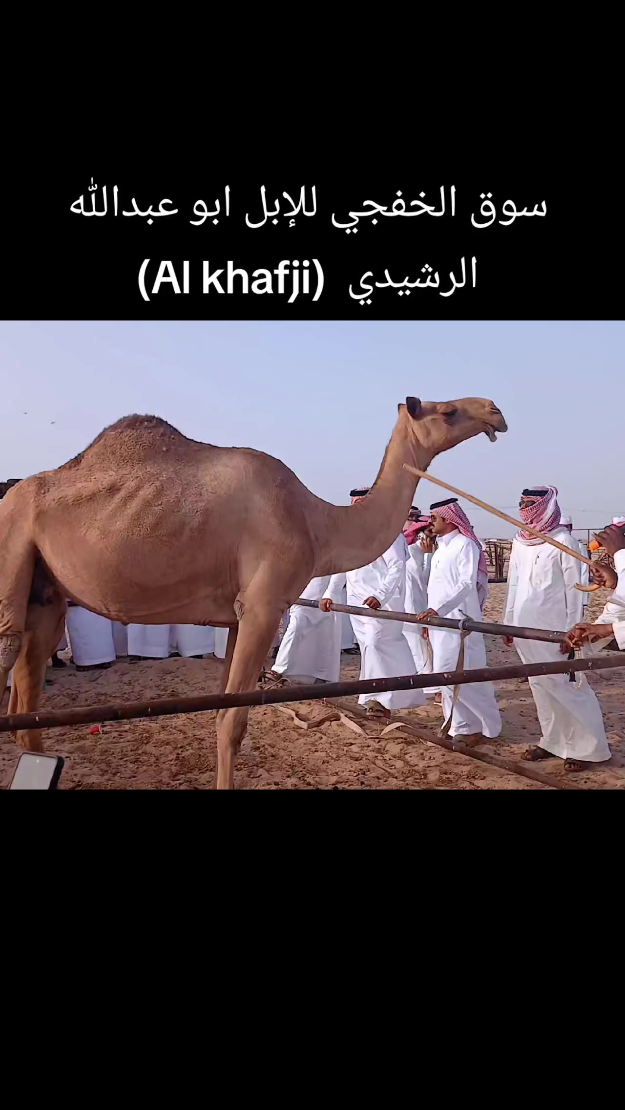 @T starTareq(Al Khafji)🇸🇦🇧🇩