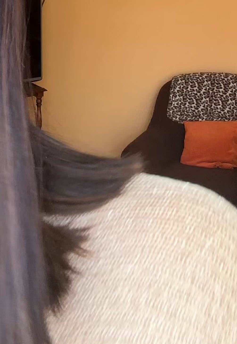 @erika.edreira