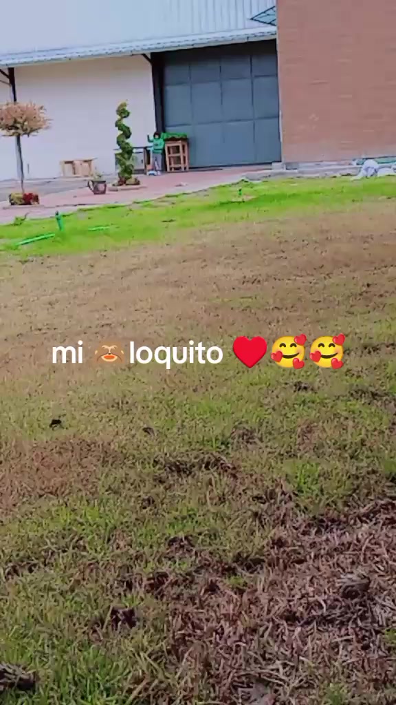 @Lucy Gaguancela