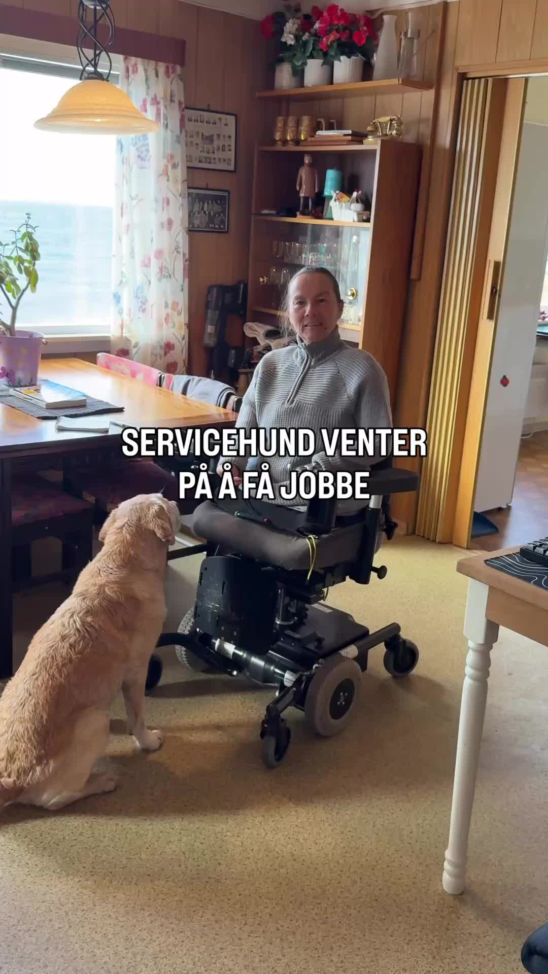 @MyHippiDog & Liv Tone 🇳🇴