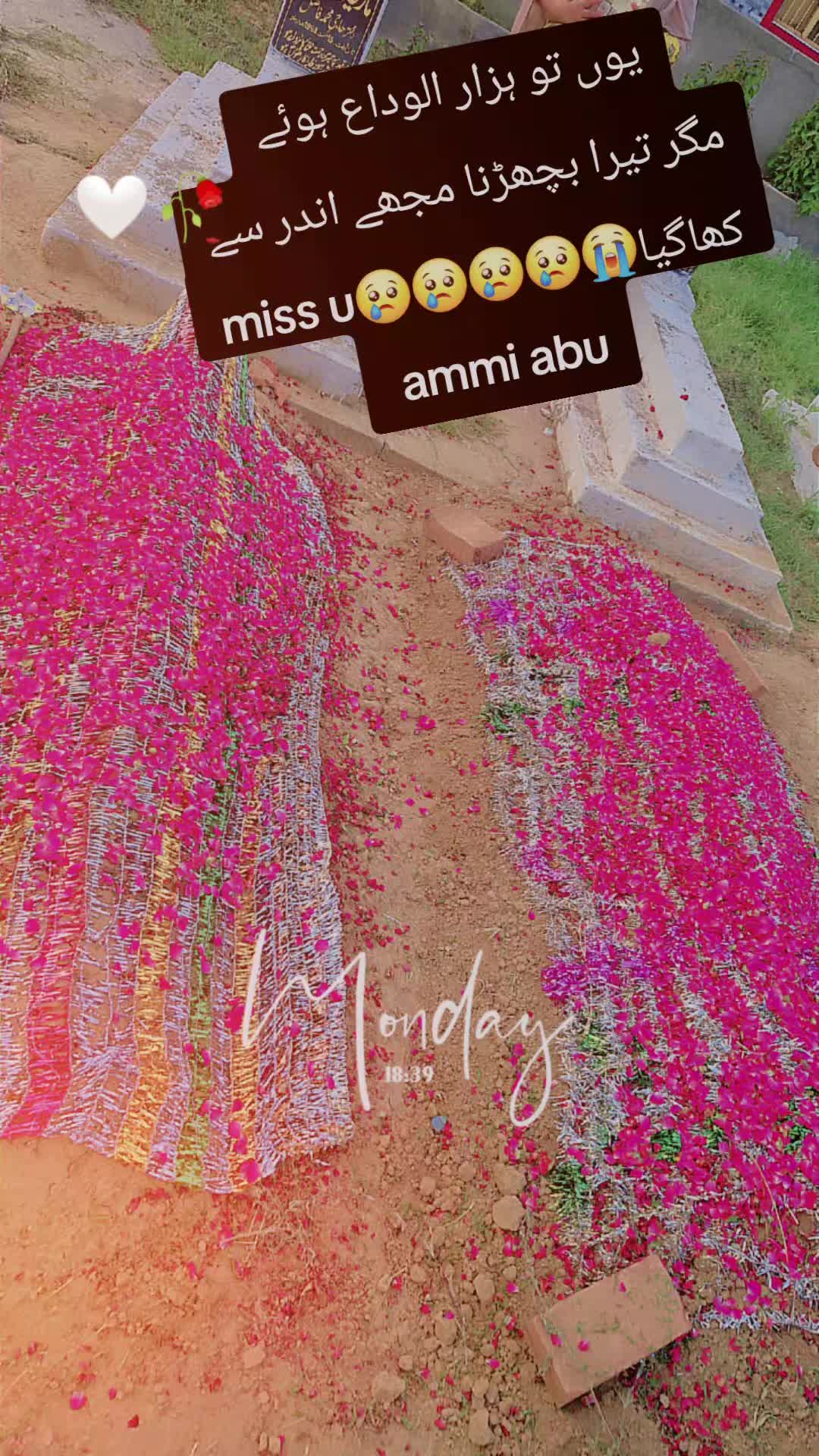 @❦︎༄🦋🅐︎ Ⓚ︎🅗︎Ⓐ︎🅝︎🦋࿐