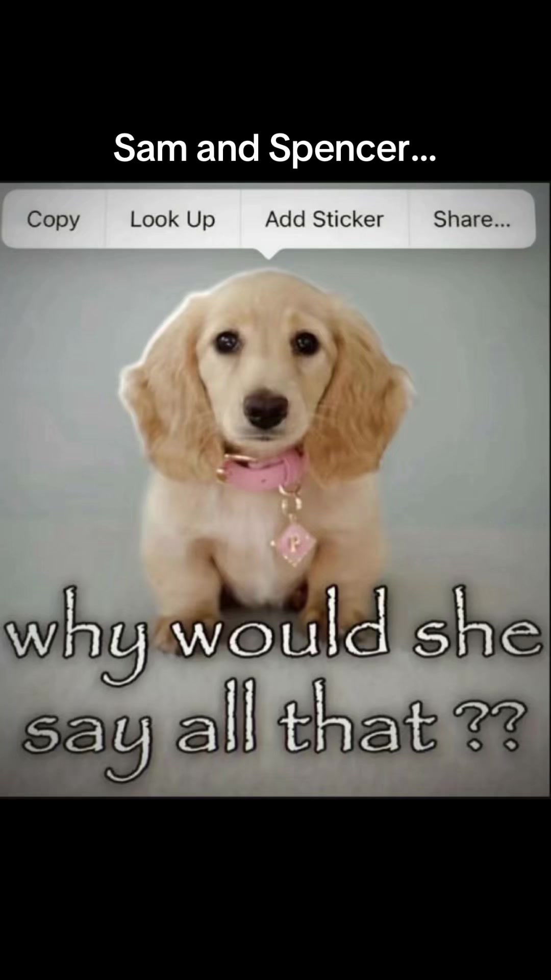 @dvc.leaker