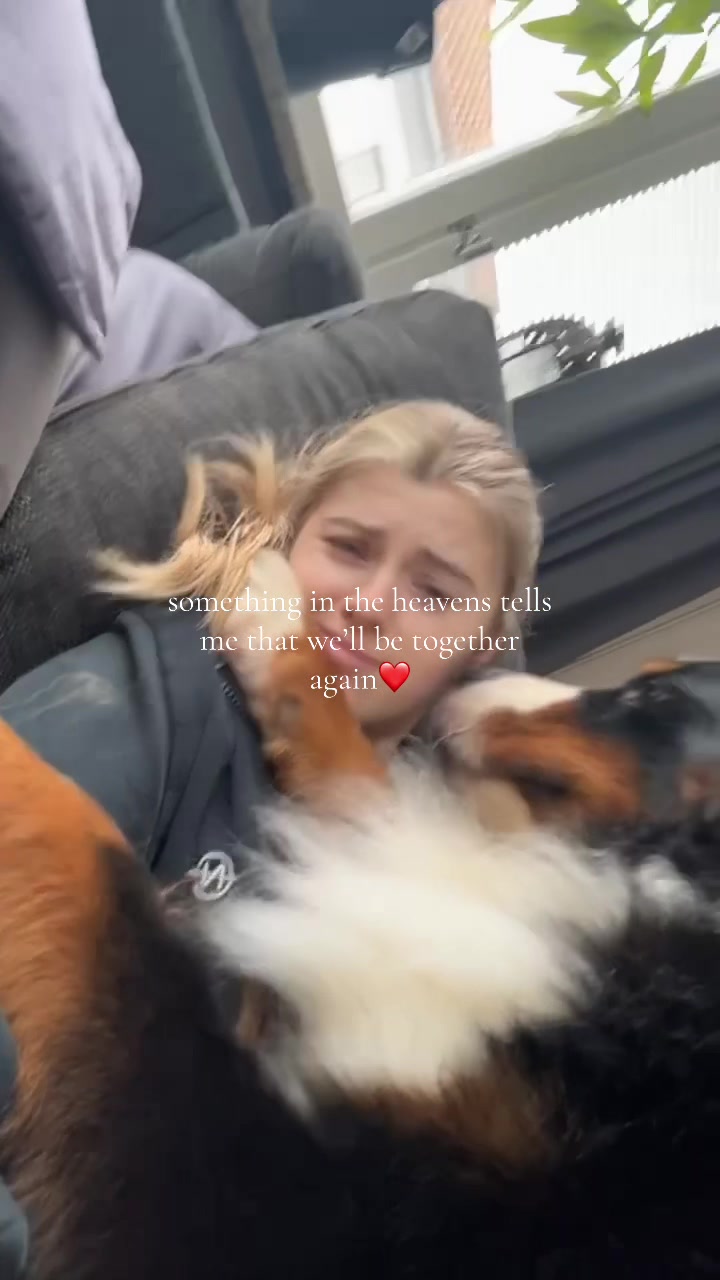 @juliahmedh