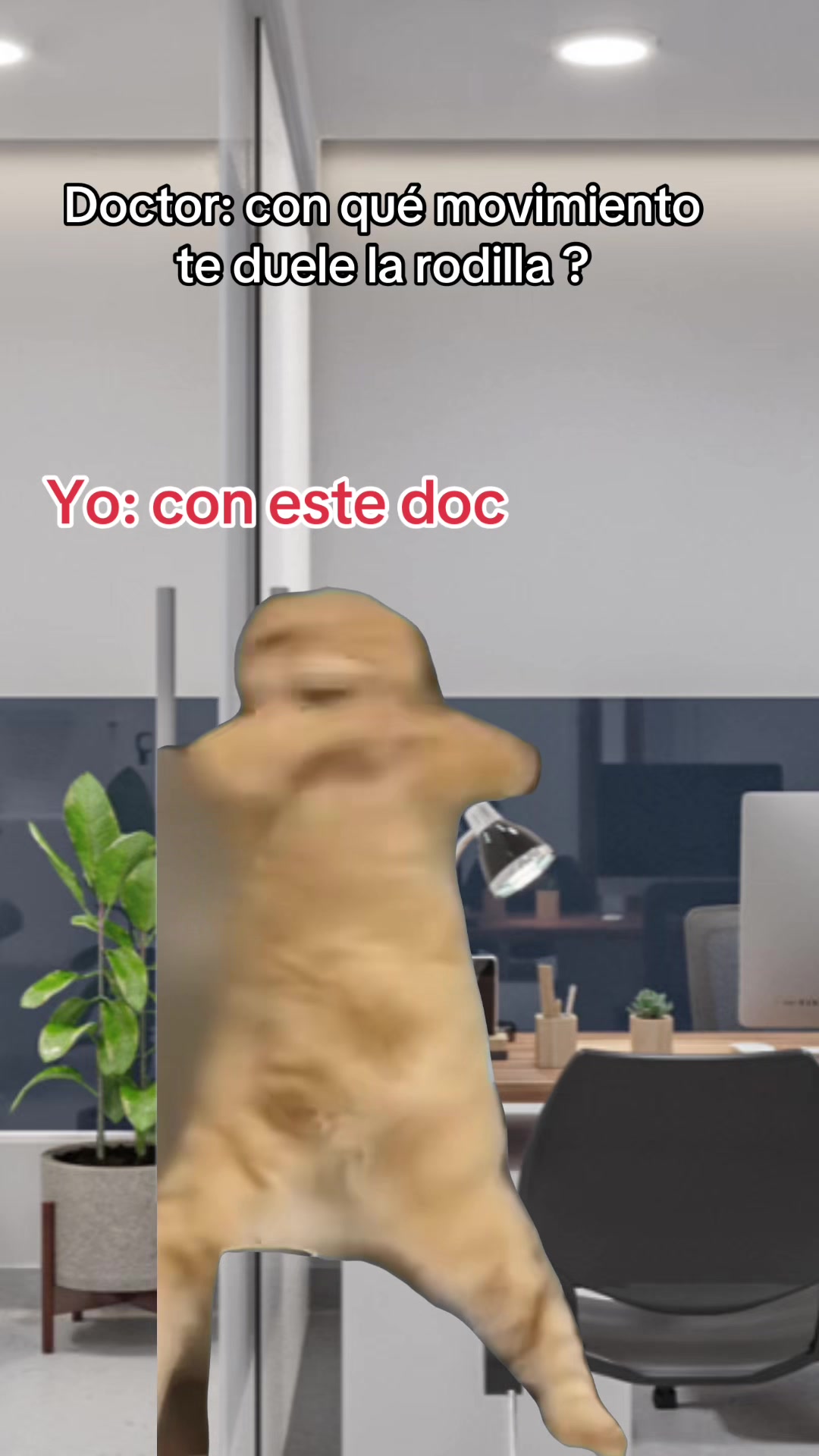 @El&ensp;TiTi&reg;️
