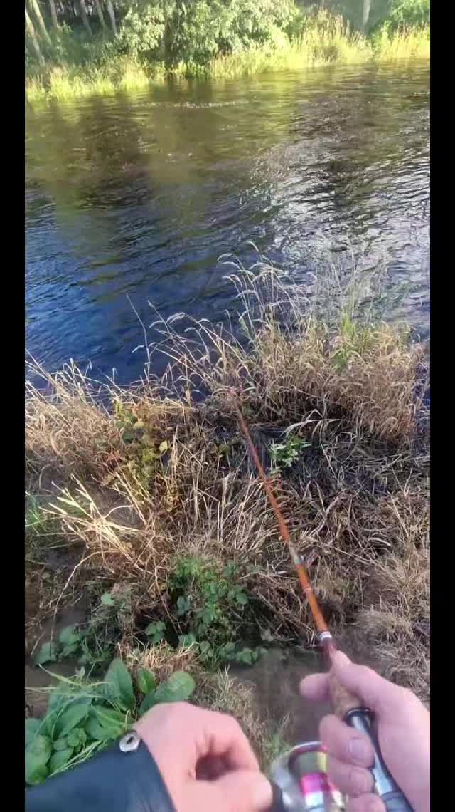 @The Black Douglas Angling