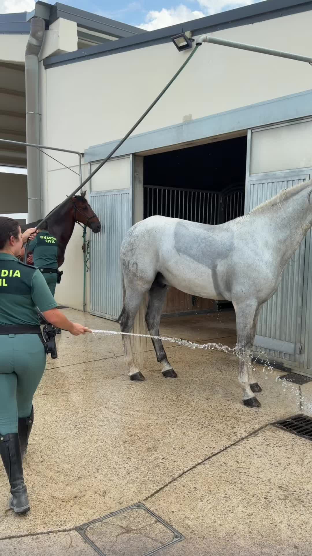 @Guardia Civil Navarra