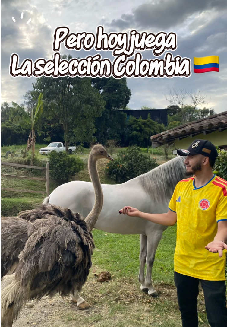 @💈🐴Huelgam_ty