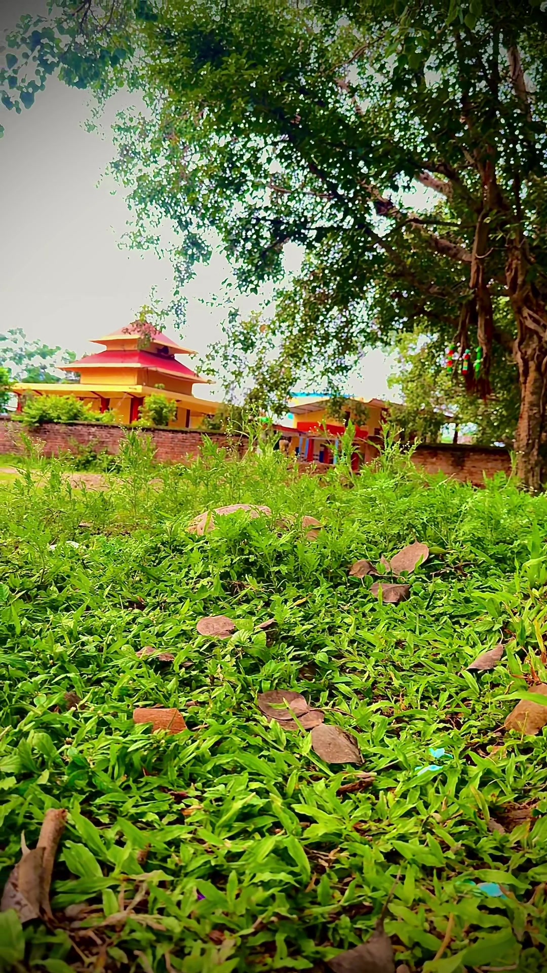 @लब्लिन