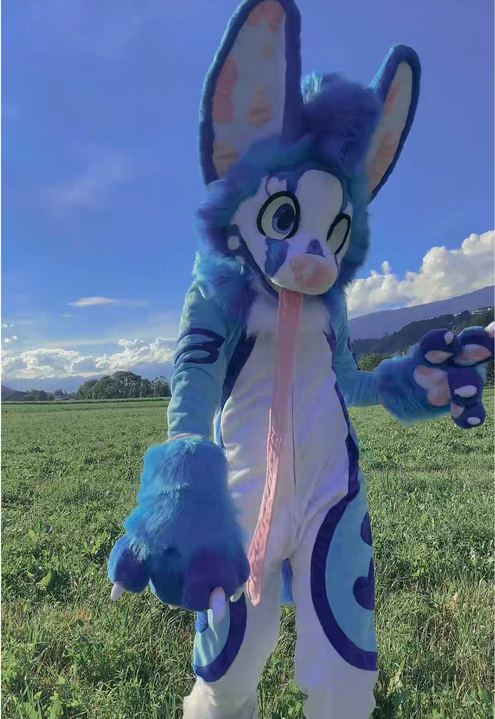 @fuzzybee