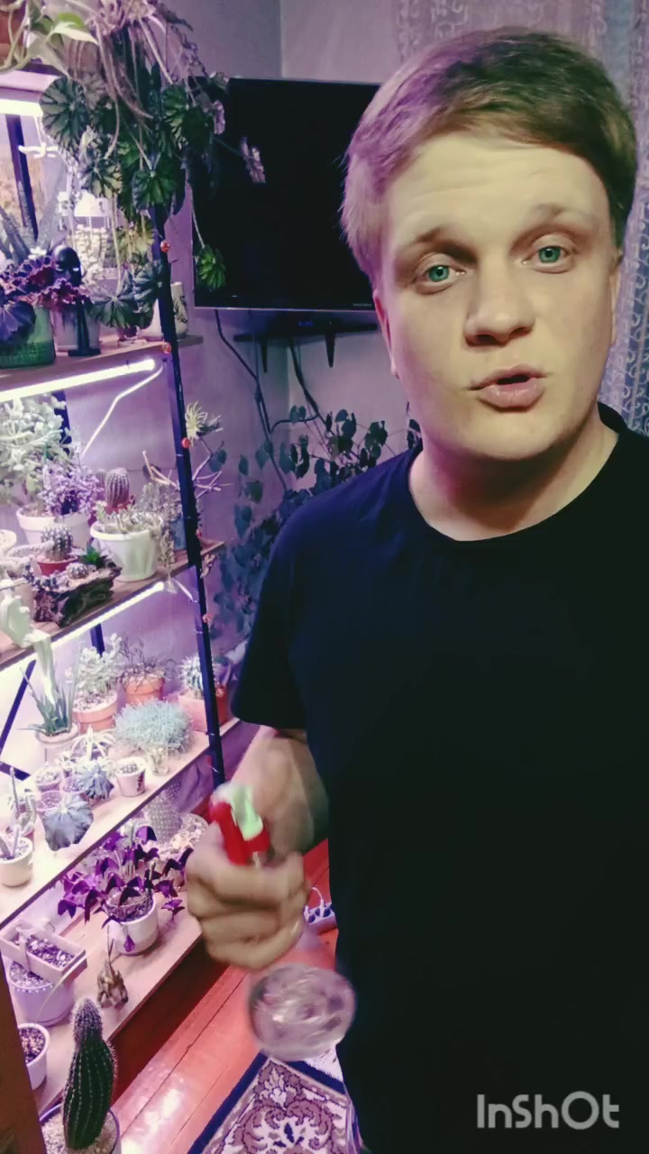 @Ромик Цветовод