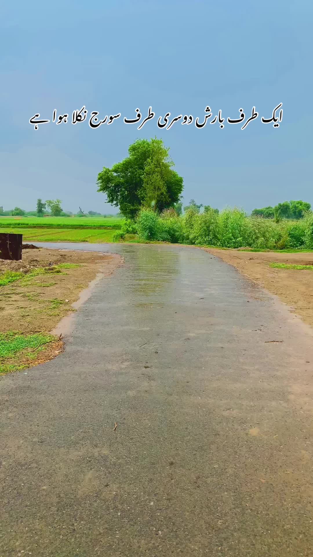 @پنجاب زادہ🌿