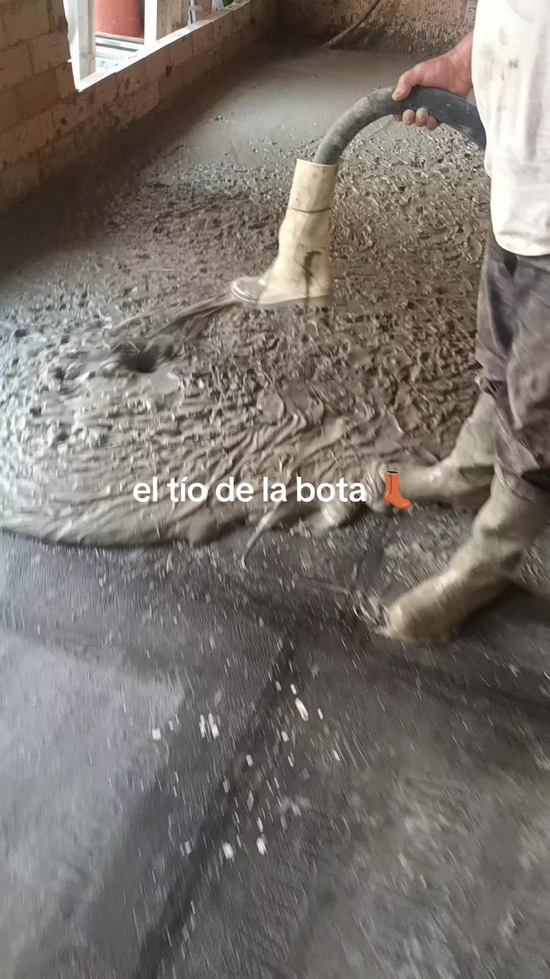 @gallos e trabajo