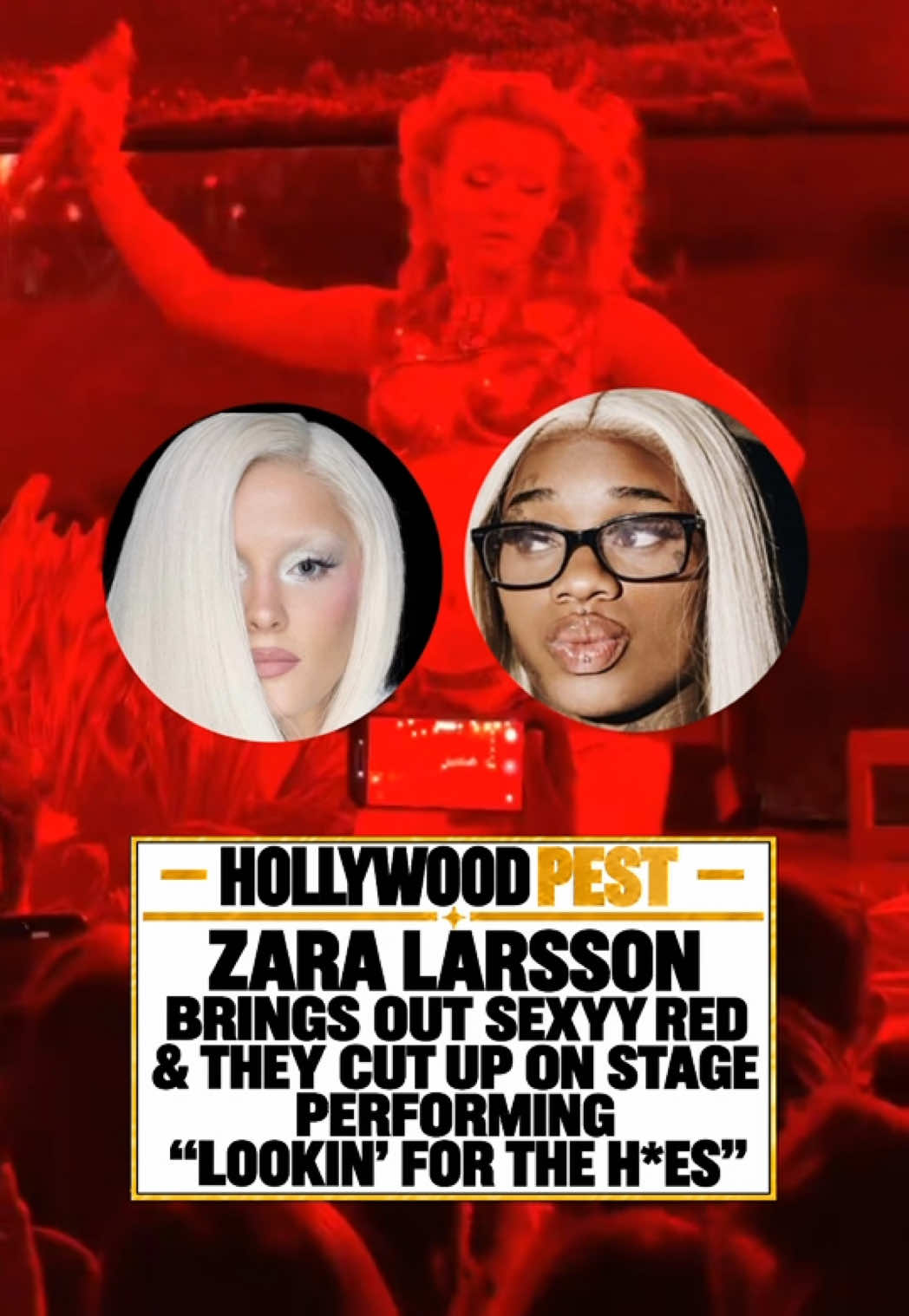 @Hollywoodpest Press