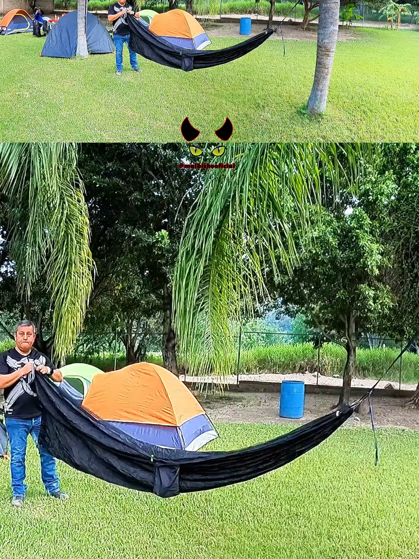 @MalBichoOficial