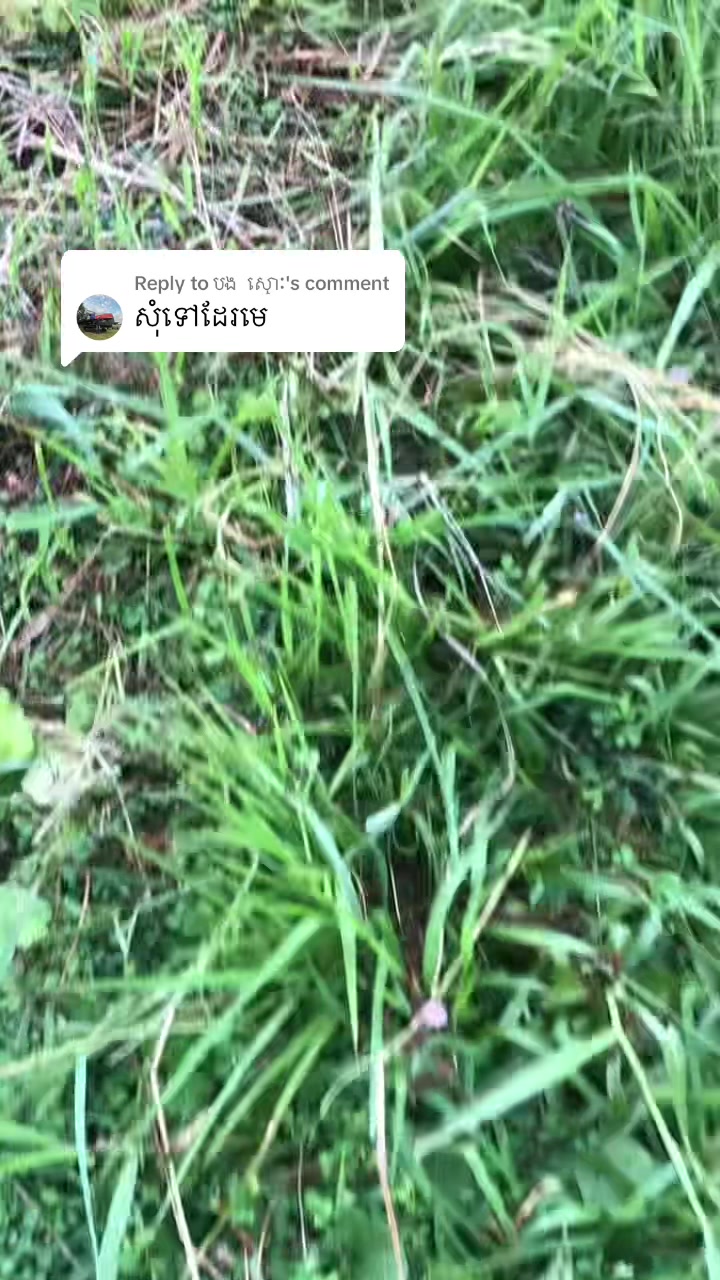 @តៃកុង វ័យក្មេង🌾🚜