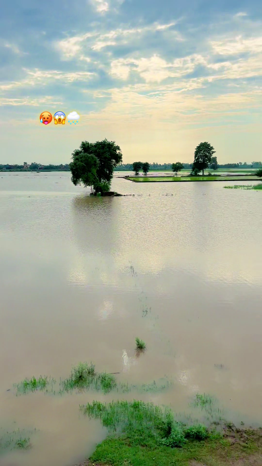 @سبحان زرعی فارم.🙌🌾