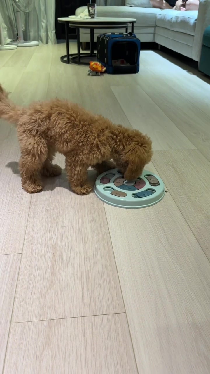 @vivi1104vivi1104