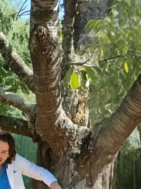 @vincentlorreynMJ Vincent