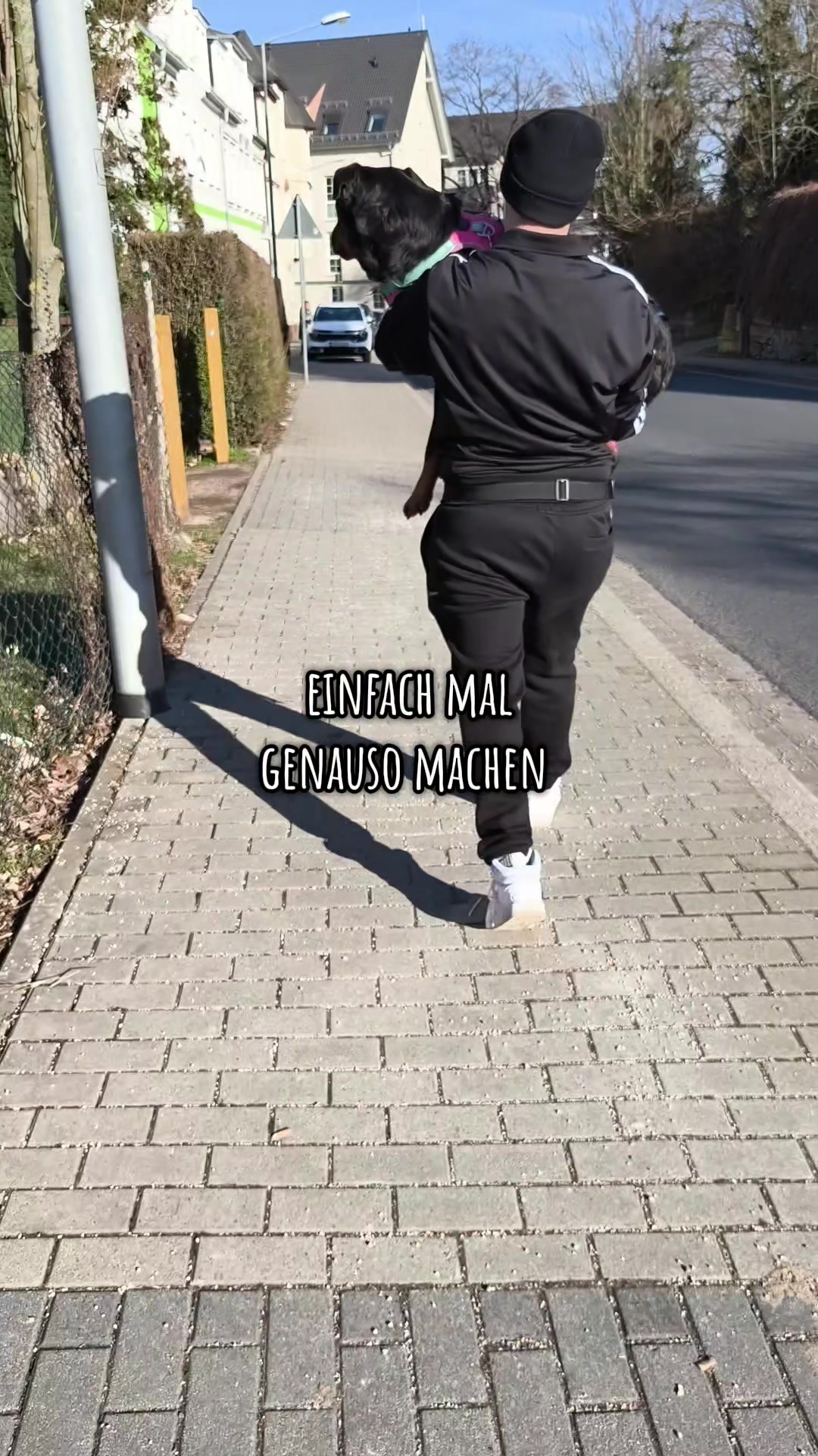 @Stefania.44