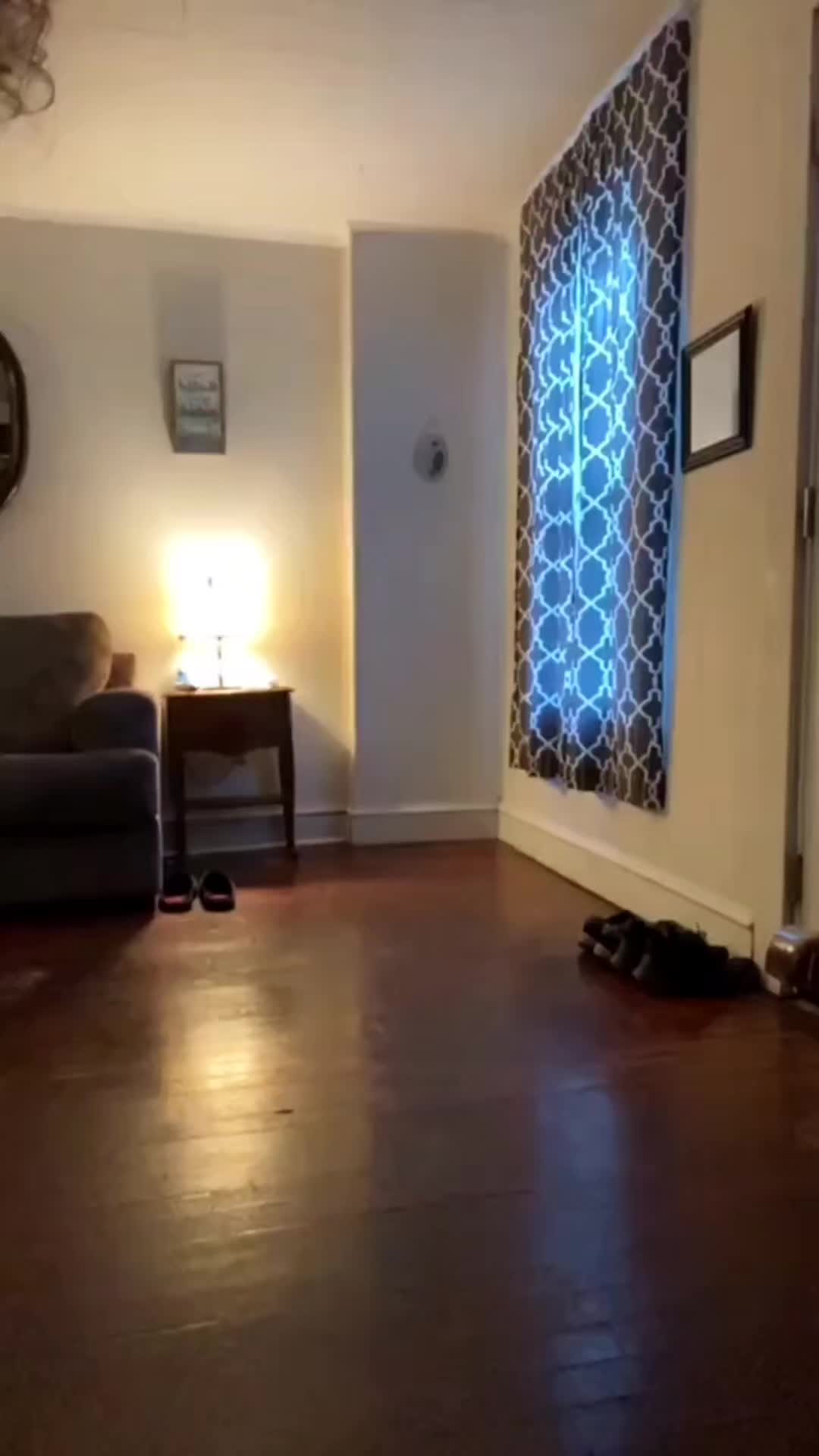 @A͟n͟d͟y͟I͟n͟S͟a͟l͟f͟o͟r͟d͟