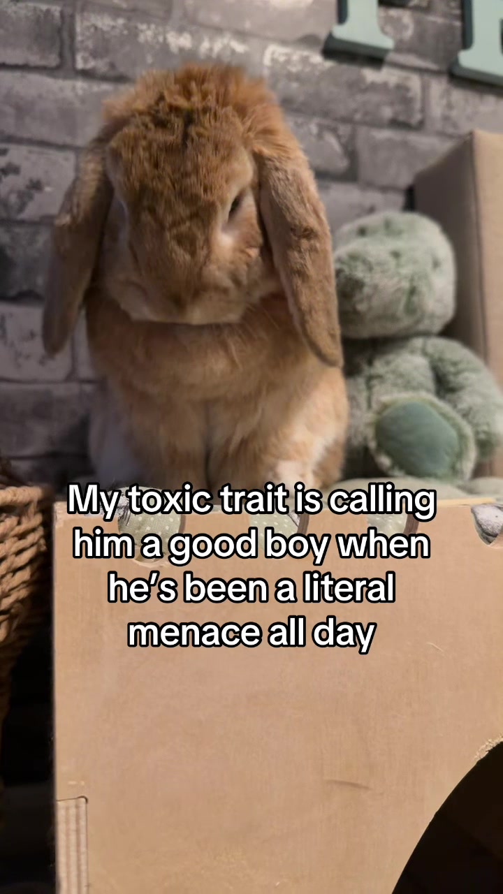 @Moana_Peachy