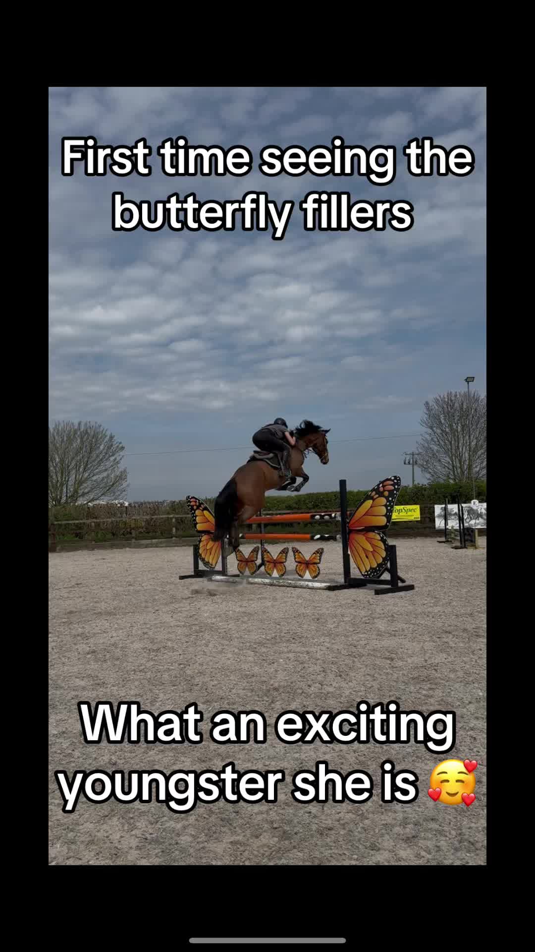 @RavenSide Equestrian