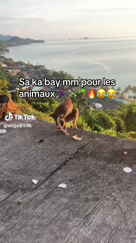 @LSSK97X🌴
