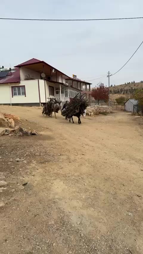@serkızcay/LONDON