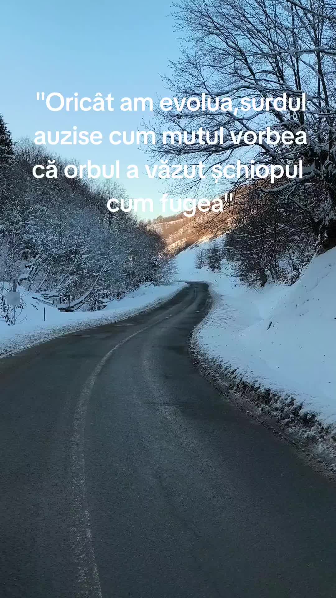 @Dumitru Runcan