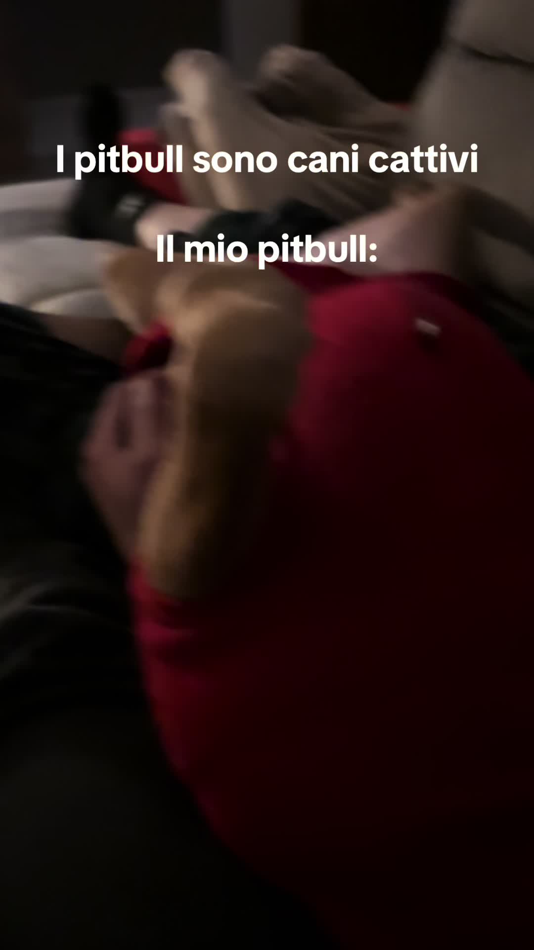 @Chiara Patanè