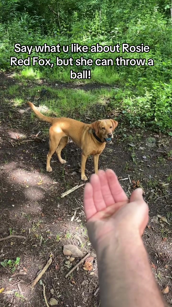@Jamie of Burnsbys Walkies