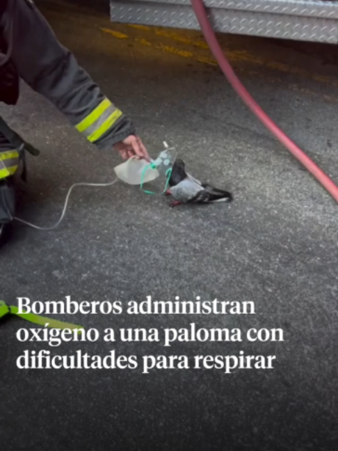 @La Vanguardia 🗞