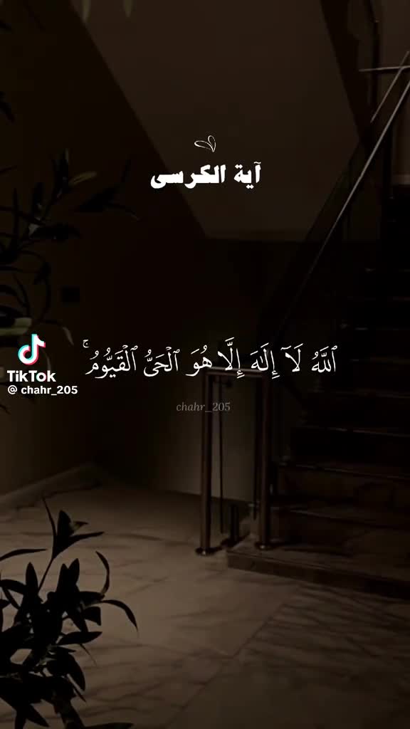 @R38_Abdulrahman(✨)🪼