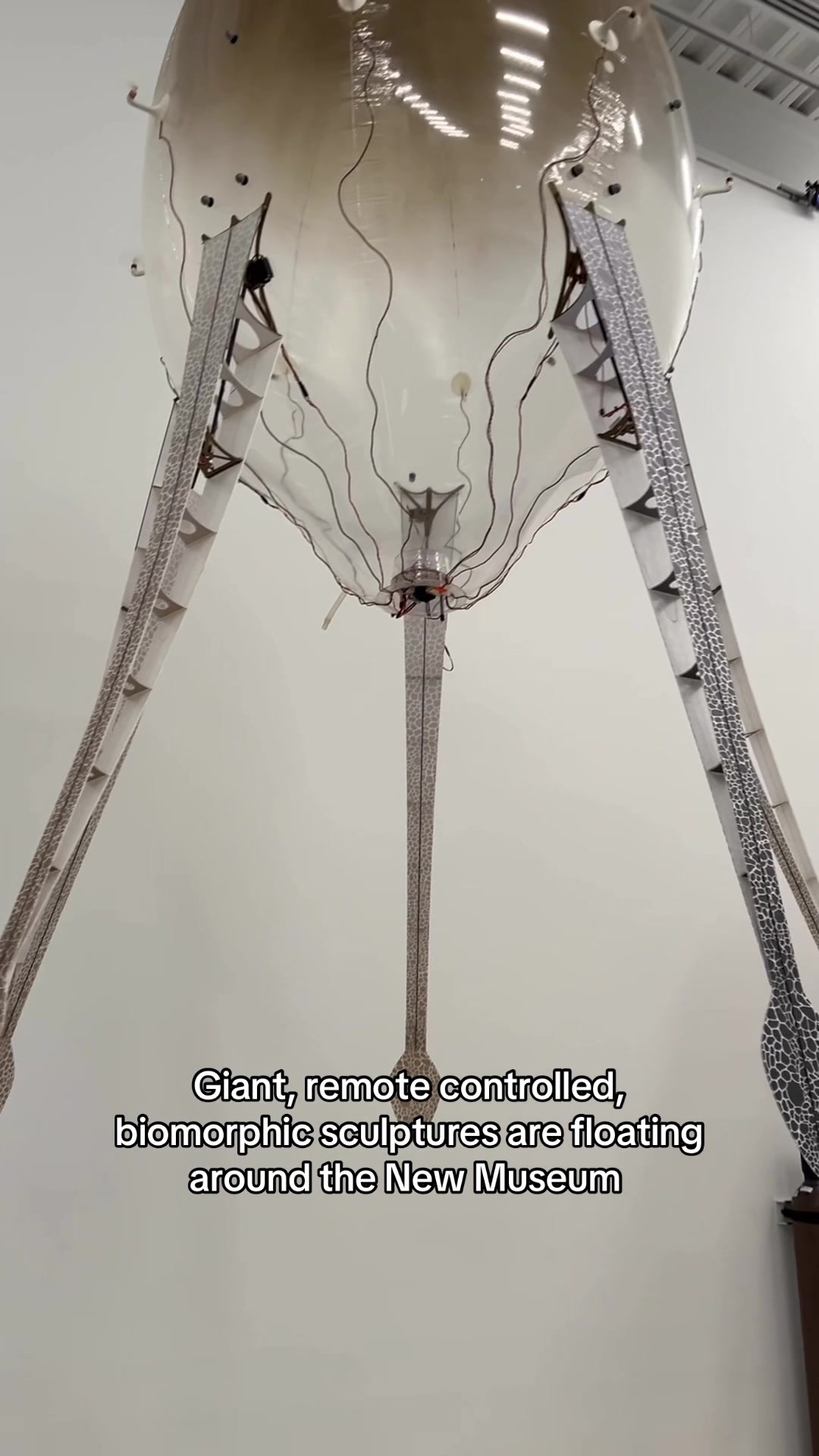 @sarah
