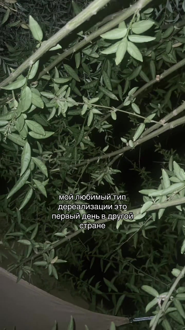 @я не туня.